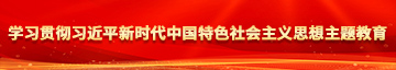 鸡吧艹逼爽在线观看学习贯彻习近平新时代中国特色社会主义思想主题教育